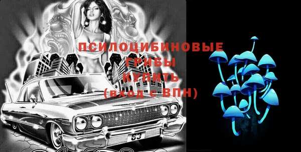 индика Струнино