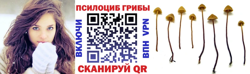 Псилоцибиновые грибы GOLDEN TEACHER Цимлянск